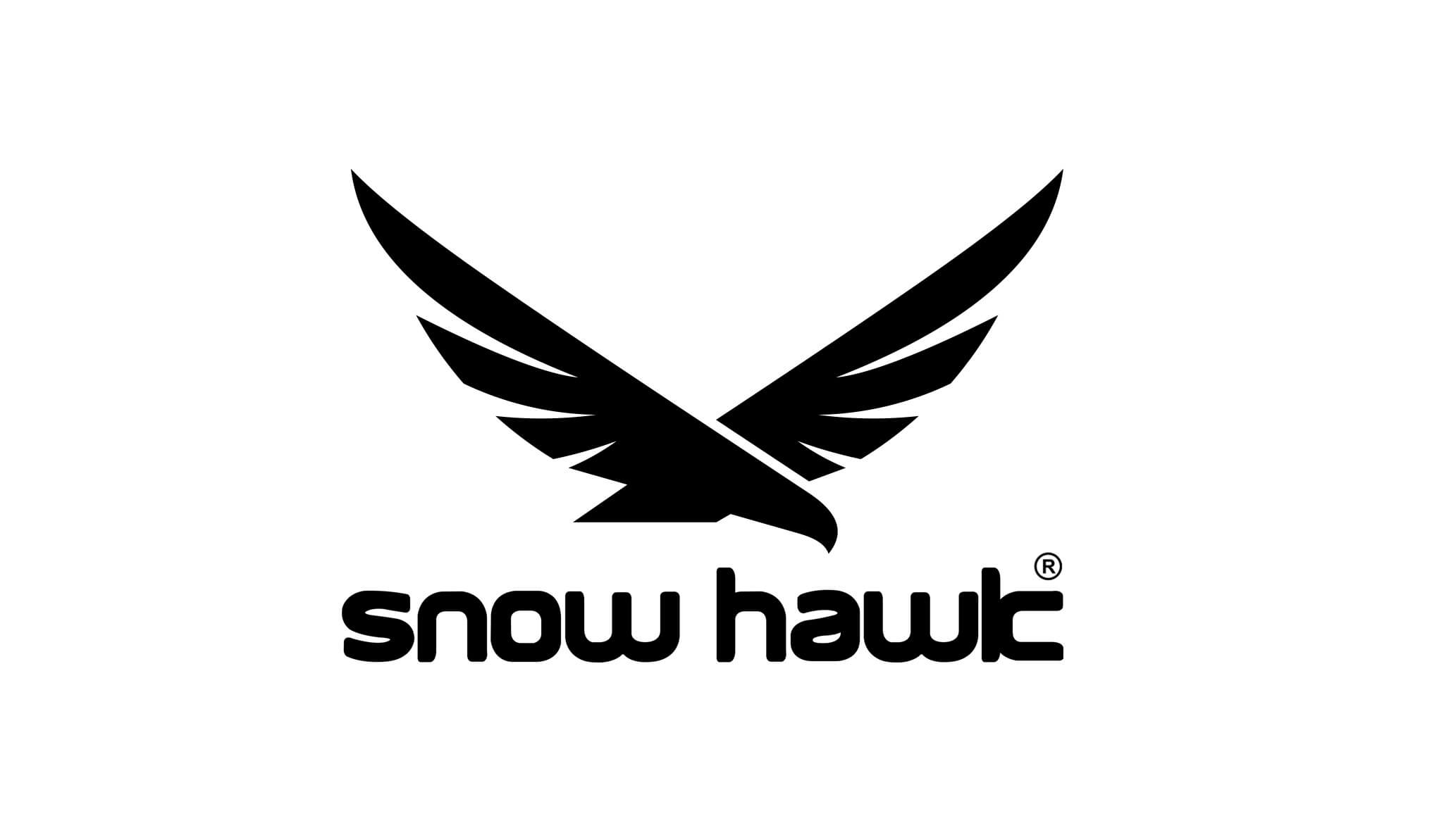 Snow Hawk